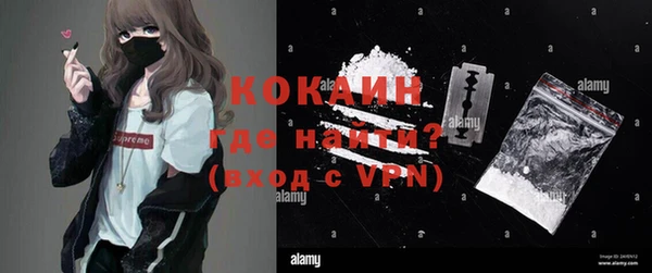 шишки Валдай