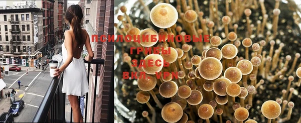 jwh Елабуга