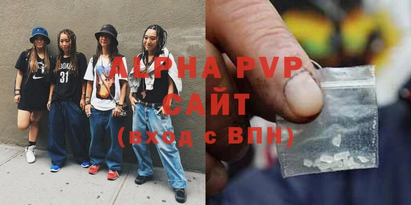 шишки Осинники